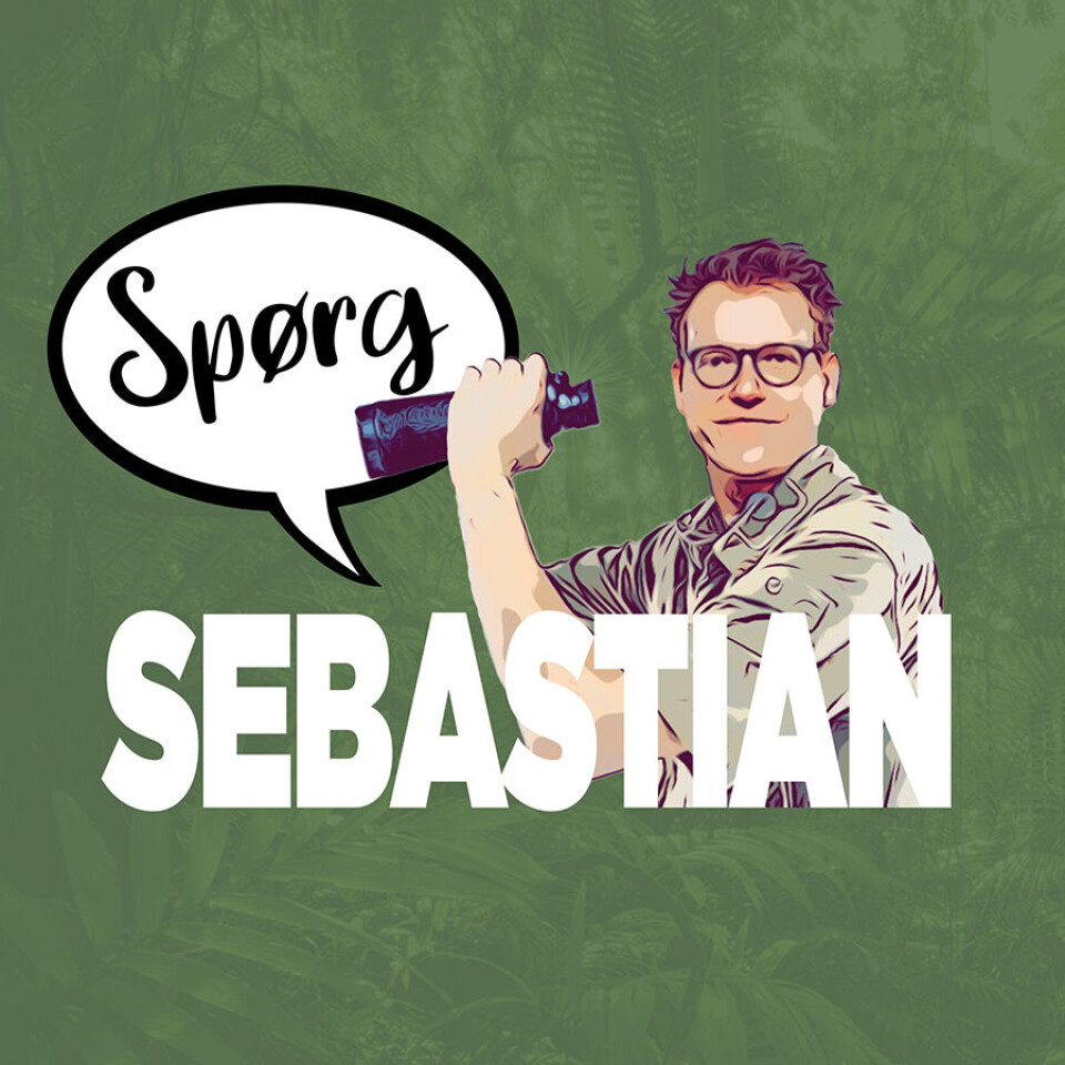 SpoergSebastian900x900.jpg