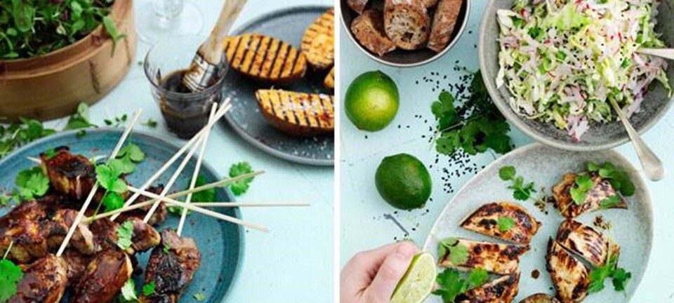 15 opskrifter: Sund grill med vennerne
