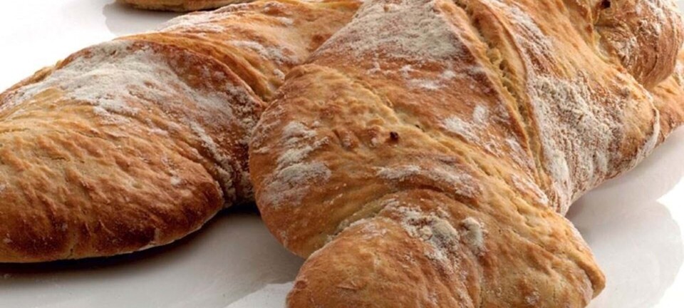 Italiensk brød (ciabatta)