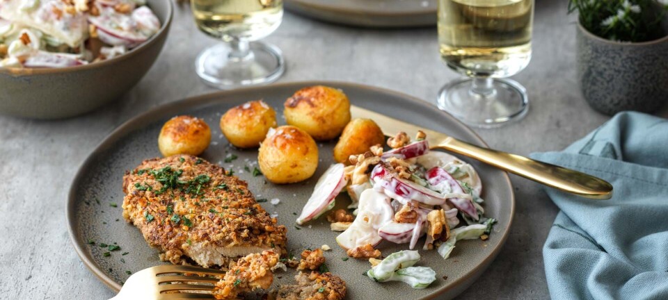 Valnøddestegte kyllingeschnitzler med waldorfsalat
