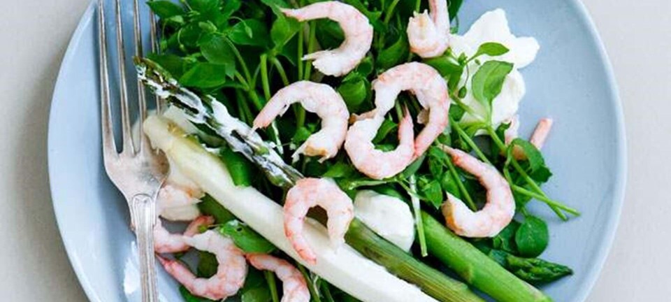 Asparges med rygeost, rejer og ramsløg