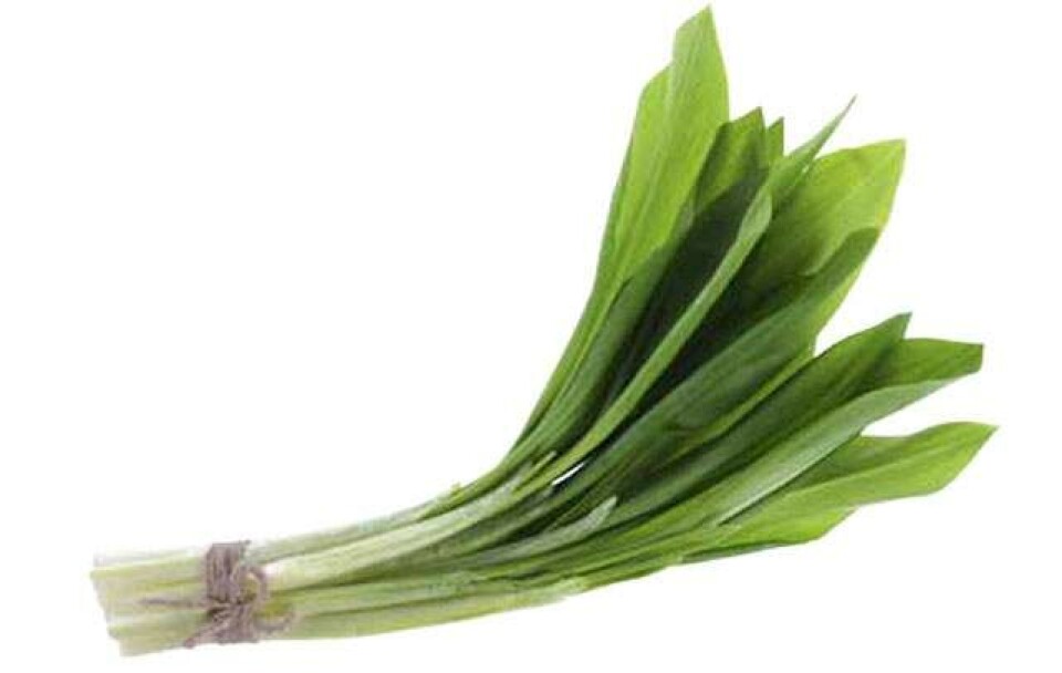 Boost din sundhed med lokale superfoods