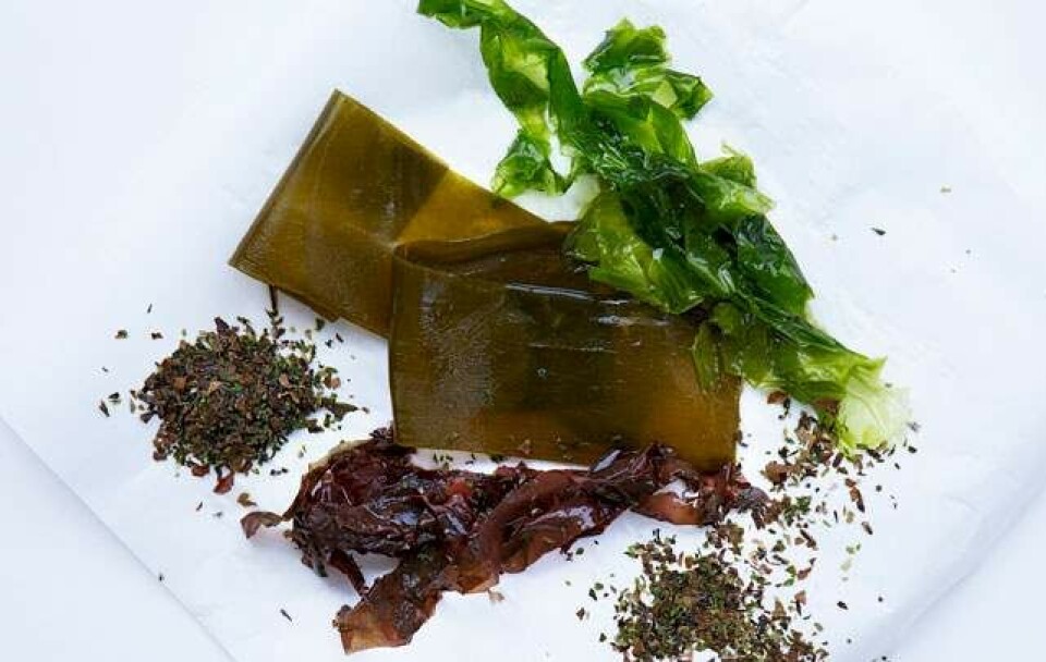 Boost din sundhed med lokale superfoods