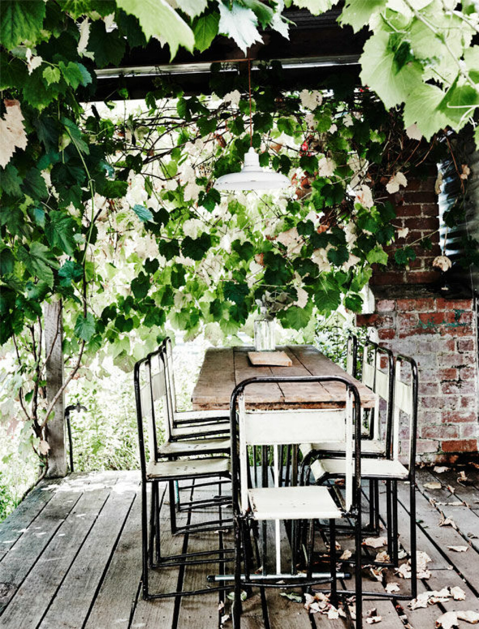 Vinen slynger sig overalt på den overdækkede terrasse og giver tiltrængt skygge på en varm sommerdag.