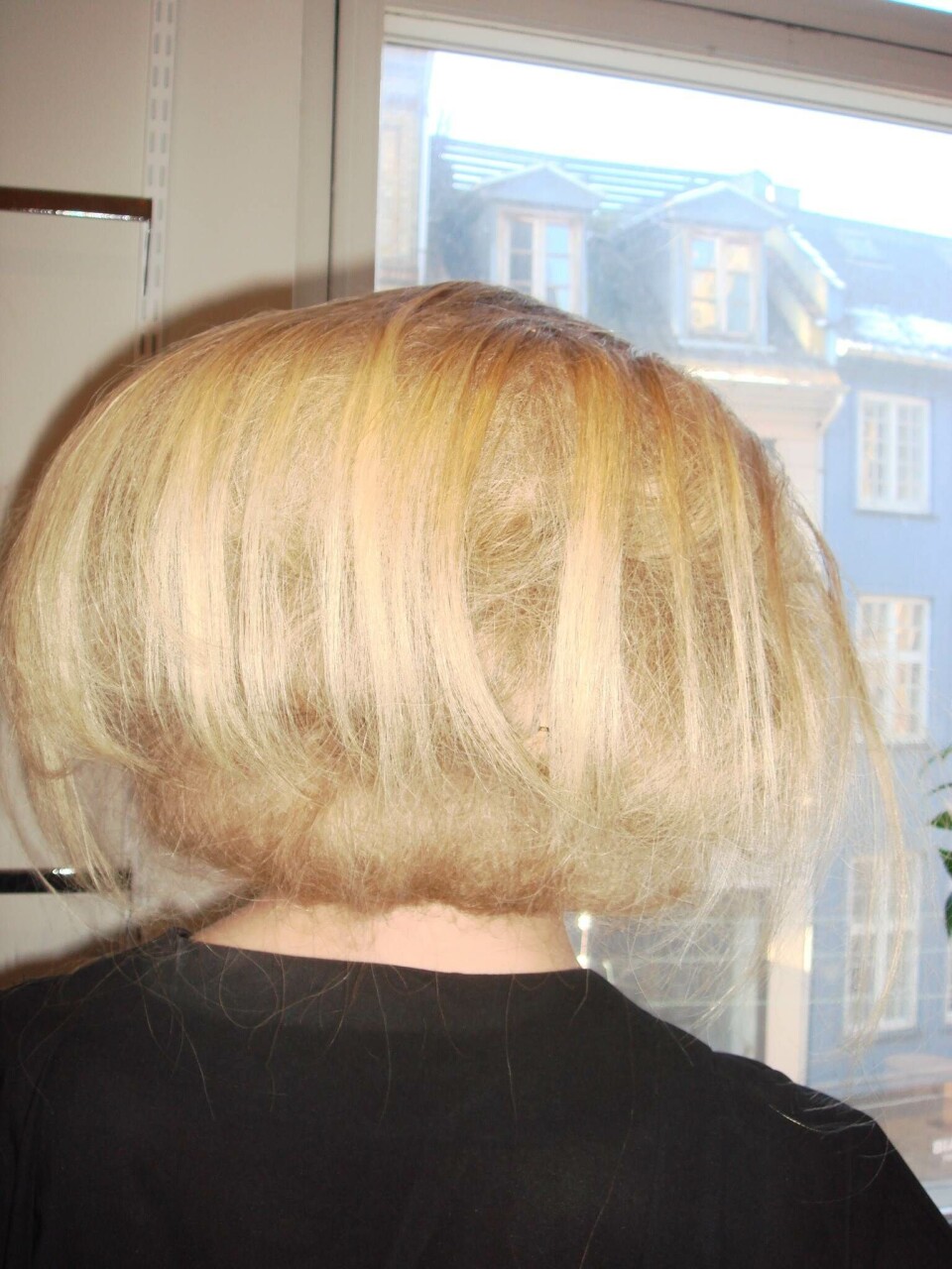 Hårtrends anno 2009
