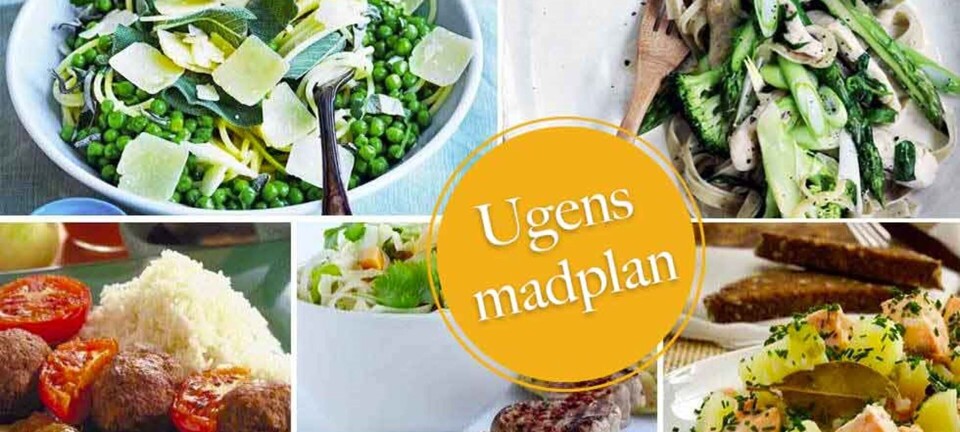 Lækre oksedeller med kokos, nem pasta med kylling & asian style nudler: Her er ugens madplan til dig