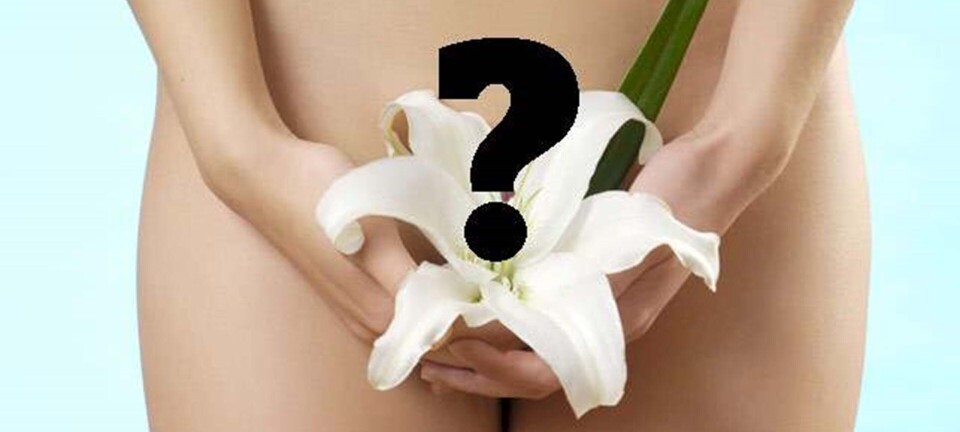 3 ting, du altid gerne har villet vide om din…