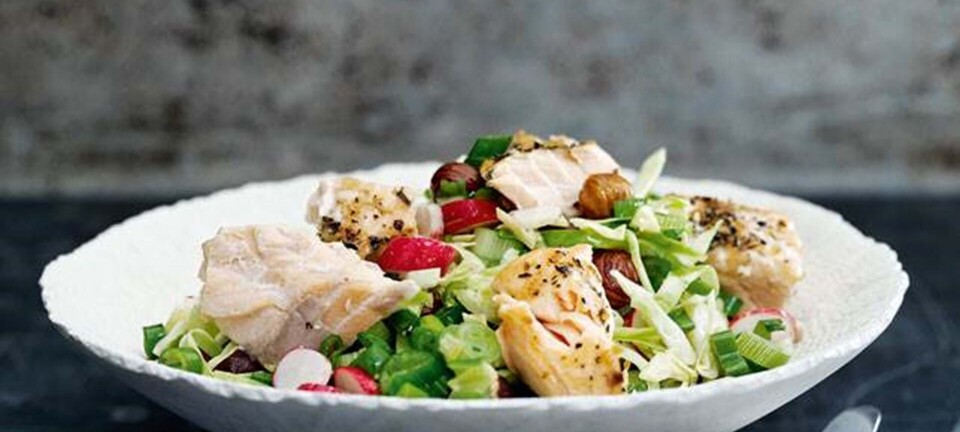 Laksesalat med spidskål og hasselnødder i acaidressing
