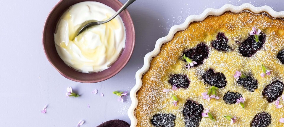 Den skønneste clafoutis med brombær og honningyoghurt
