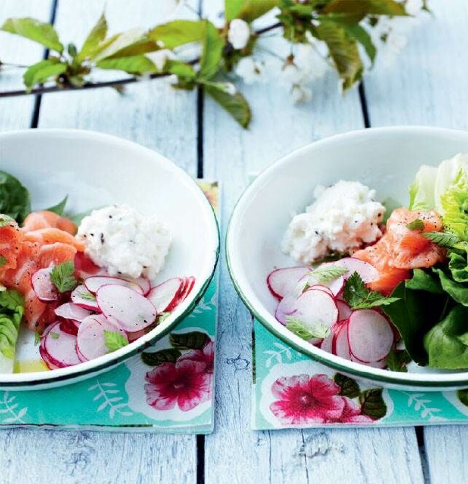Lav lækre sommersalater med fisk