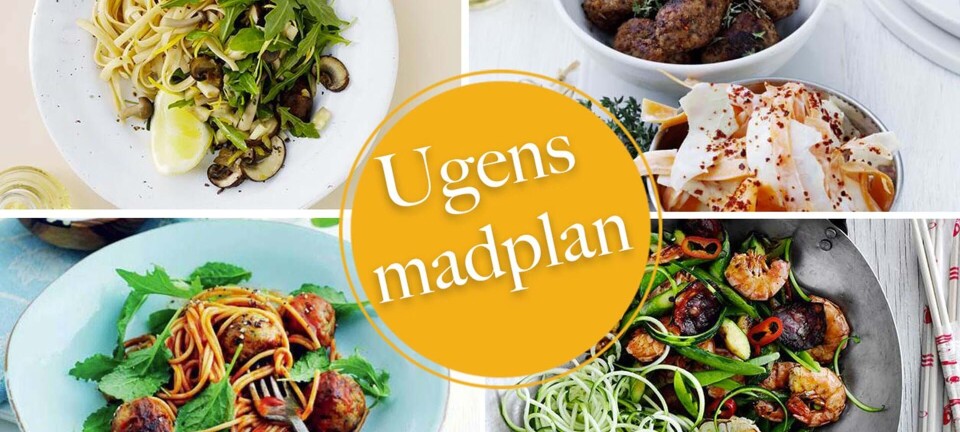 Nem wokmad, frikadeller med æble & timian og lækker fishpie: Her er ugens madplan til dig
