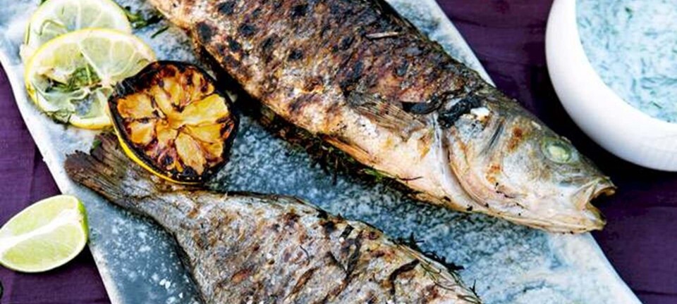 Hel grillet fisk med krydderurter og sauce verte