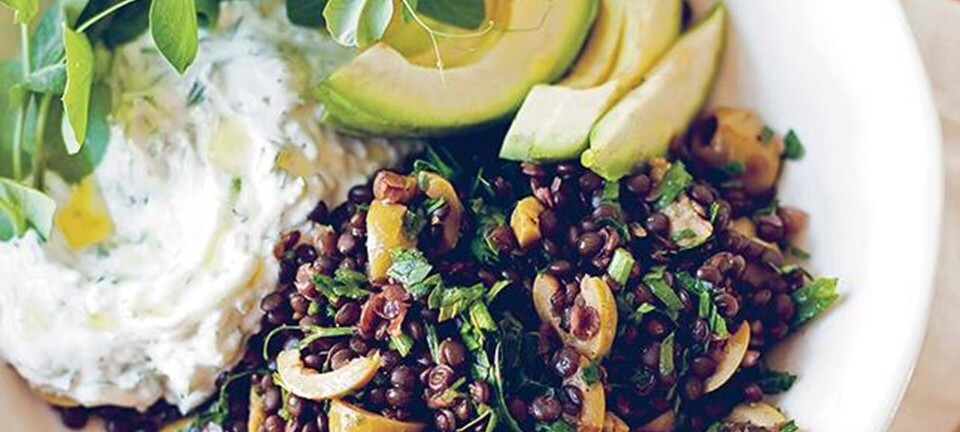 Linsesalat med tzatziki & avokado