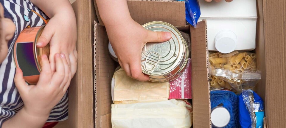 Nem hverdag: 7 steder du kan shoppe dagligvarer online