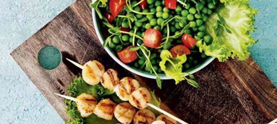 Grillede kammuslinger med ærtesalat