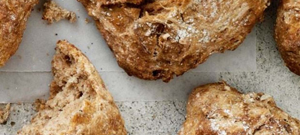 Rugbrødsboller med chokolade