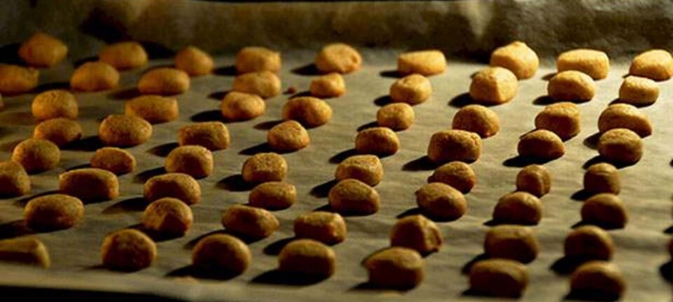 Hjemmelavede pebernødder