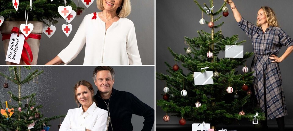 Er dette Danmarks mest sympatiske juletræ?