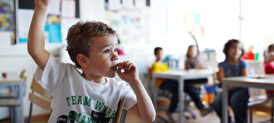 Folkeskole eller privatskole: Dét skal du vide, når du skal vælge skole til junior
