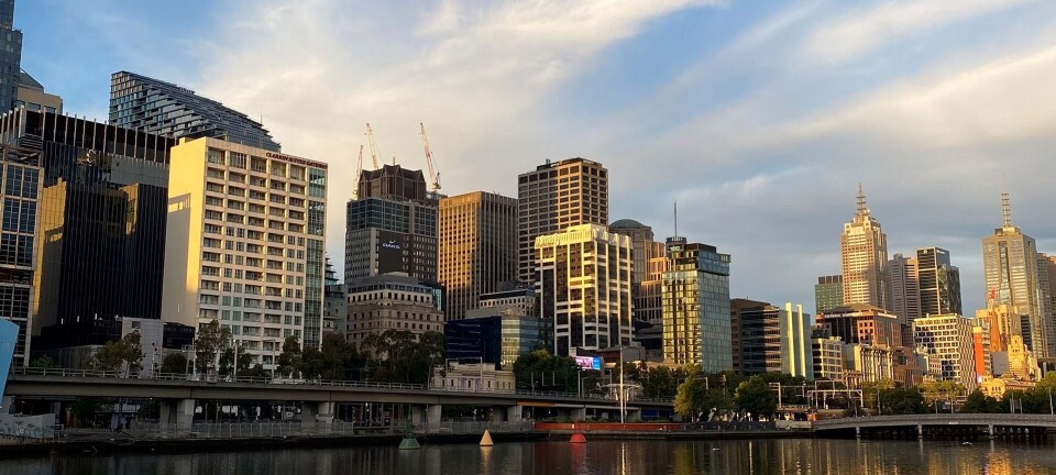 Rejseguide til Melbourne: Få de bedste tips til den australske storby
