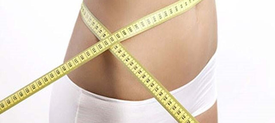 Bliv sommerklar: Tab 5 kilo før ferien