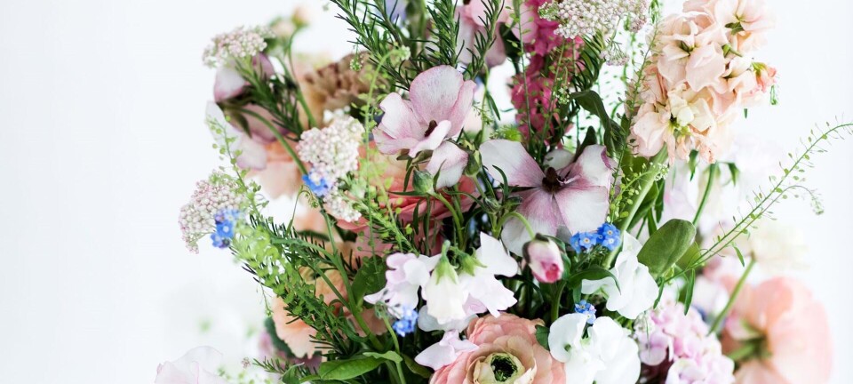 8 trin: Sådan binder du en flot blomsterbuket