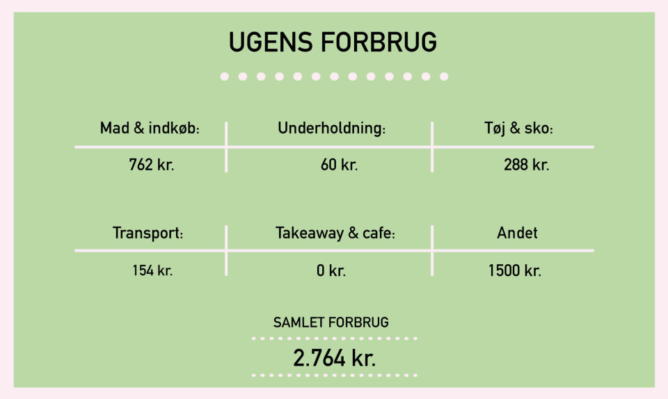 Billede 3 - pengedagbøger_camilla_breakdown.jpg