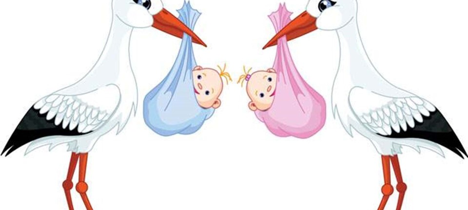 Hvad skal de kongelige tvillinger hedde?