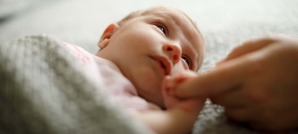 Nye rettigheder til gravide og fødende: ”Det er et samfundsproblem”