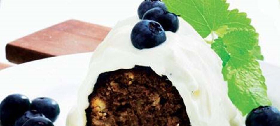 Chokoladekage med blåbær
