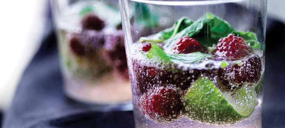 Lækker opskrift på hindbærmojito