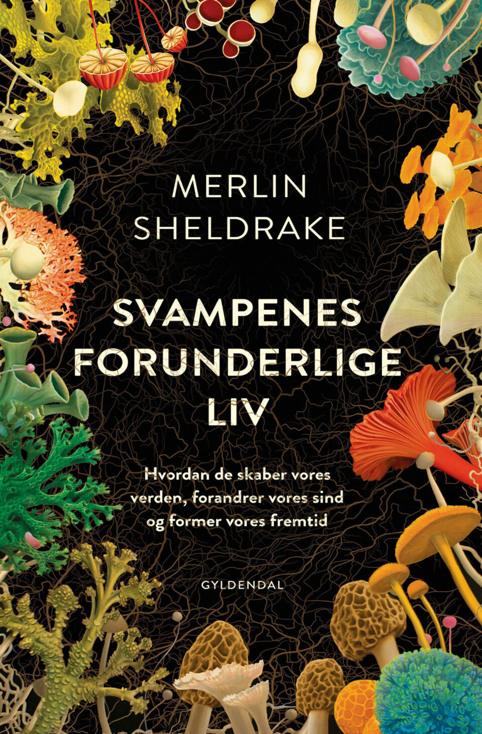 svampenes-forunderlige-liv.jpg