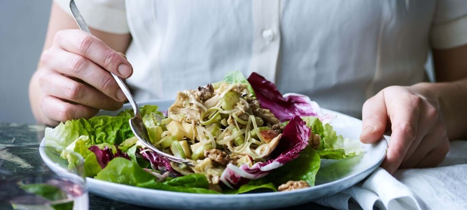 Kyllingesalat med sennepsdressing