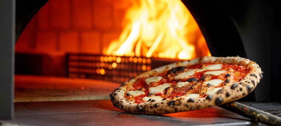 Få pizza-professorens 5 bedste råd til den perfekte pizza