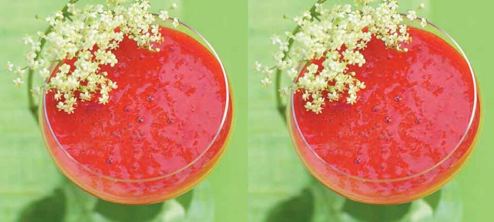 Jordbær-hyldeblomst daiquiri