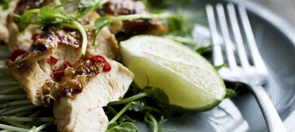 Kylling med chili-ingefær-marinade og salat med ærtespirer