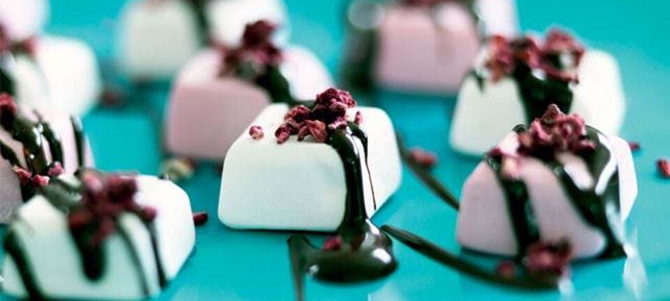 Skumfiduser til nytår