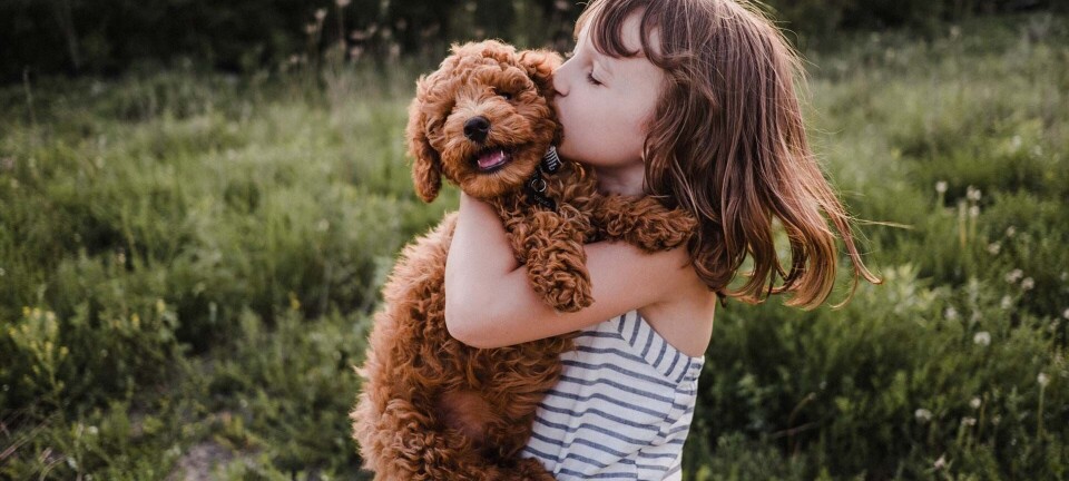 Må jeg få en hund, mor? Her er, hvad I skal overveje, før I får en hund
