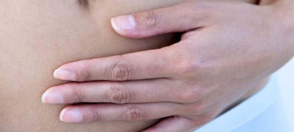 Kan denne 'bakterie' gøre dig slank?