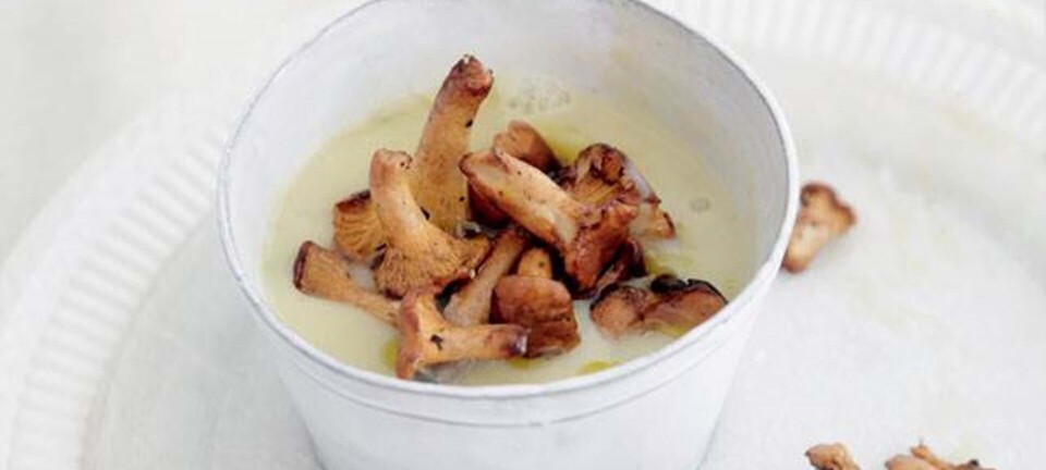 Jordskokkesuppe med trøffelolie og kantareller