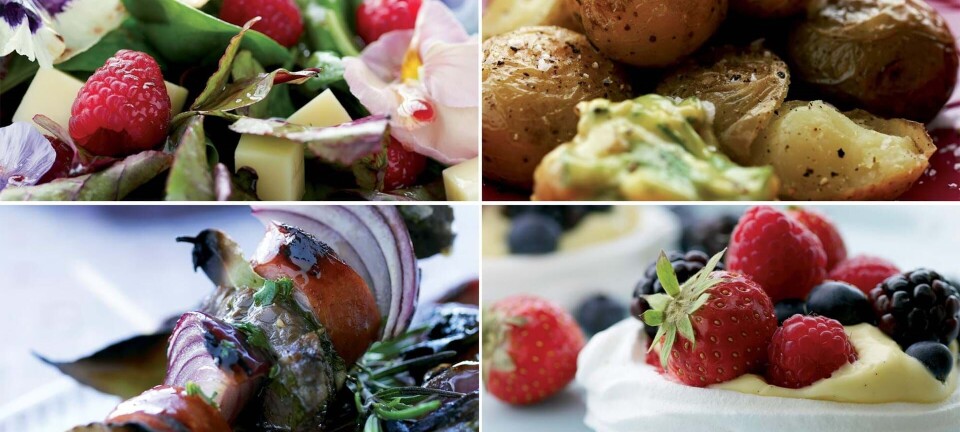 Grillmad to go: Her er 4 nemme opskrifter