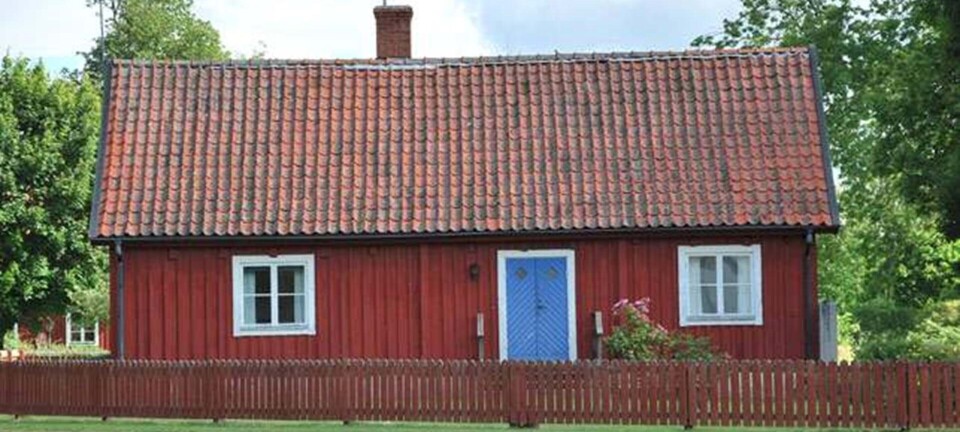 3 dage i Skåne: Svensk idyl for børn og voksne