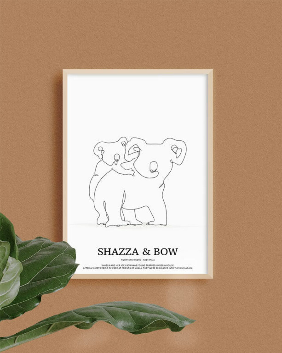 Koala Shazza & Bow