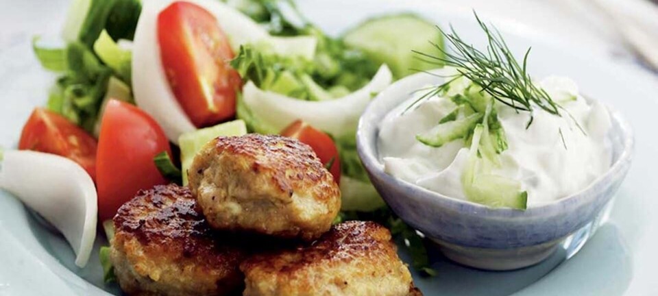 Dejlige græske frikadeller og tzatziki