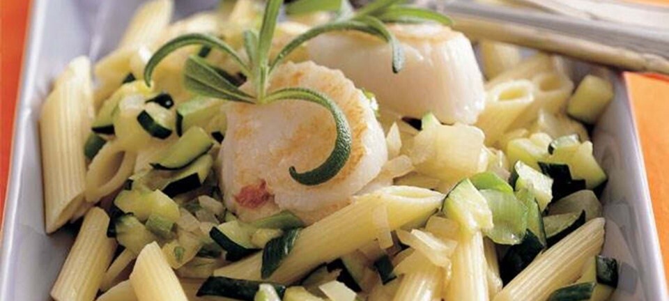Kammuslinger med pasta og rosmarin