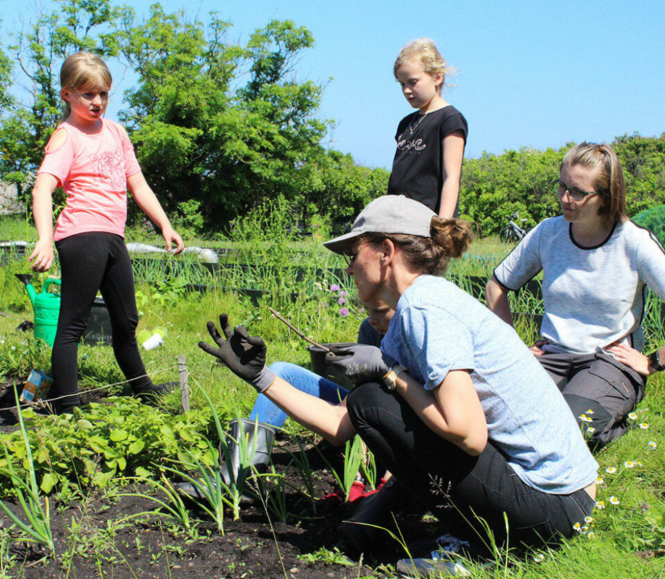 Louise ætter stor pris på naturen på Christiansø og tager gerne eleverne med i skolehaven.