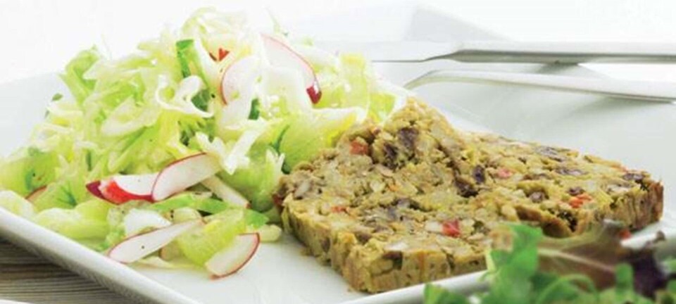 Vegetarisk farsbrød med spidskålssalat