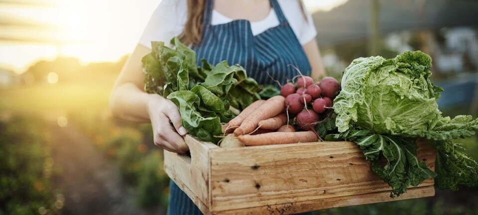 Skru op for hverdagsøkologien