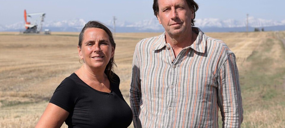 Er du også fan af Anne og Anders? Her går turen hen næste gang