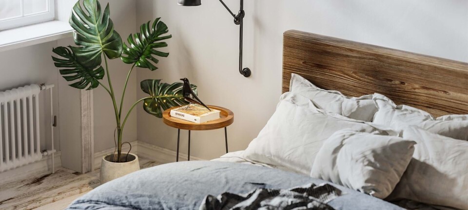 Skægkræ: Sådan får du bugt med det lille skadedyr